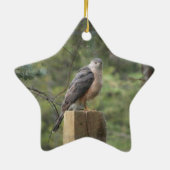 Cooper's havik keramisch ornament (Achterkant)