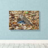 Cooper's havik met prooi canvas afdruk (Insitu (Houten vloer))