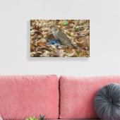 Cooper's havik met prooi canvas afdruk (Insitu (Woonkamer))