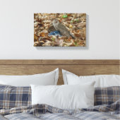 Cooper's havik met prooi canvas afdruk (Insitu (Slaapkamer))