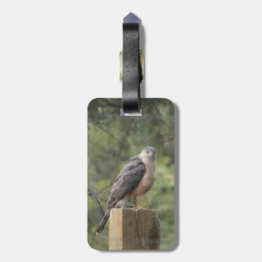 Cooper's Hawk Bagagelabel (Achterkant verticaal)