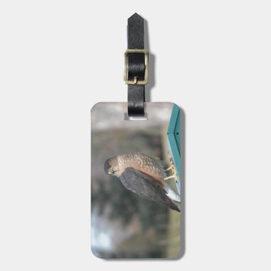 Coopers Hawk Bagagelabel (Voorkant verticaal)