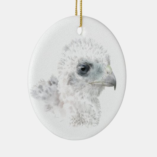 Coopers Hawk Chick Keramisch Ornament (Rechts)