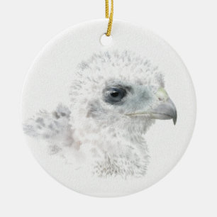 Coopers Hawk Chick Keramisch Ornament