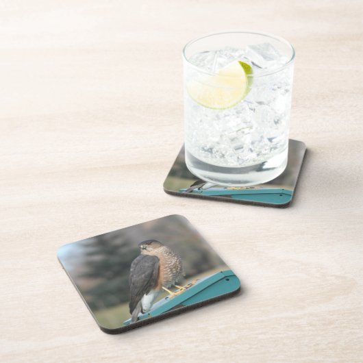 Coopers Hawk Drankjes Onderzetter (Rechterzijde)