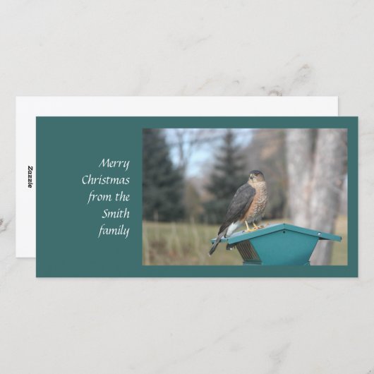 Coopers Hawk Feestdagenkaart