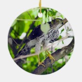 "Coopers Hawk in the Grapevine" Keramisch Ornament (Achterkant)