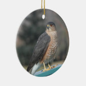 Coopers Hawk Keramisch Ornament (Rechts)