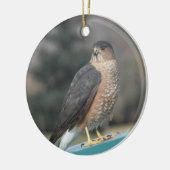 Coopers Hawk Keramisch Ornament (Links)