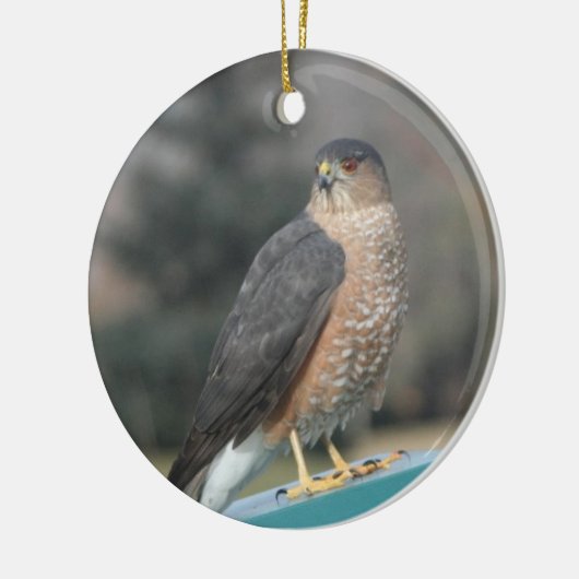 Coopers Hawk Keramisch Ornament (Links)