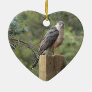 Cooper's Hawk Keramisch Ornament
