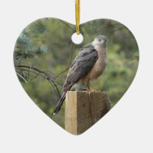 Cooper's Hawk Keramisch Ornament (Voorkant)