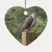 Cooper's Hawk Keramisch Ornament (Achterkant)
