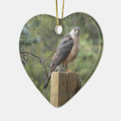 Cooper's Hawk Keramisch Ornament (Links)