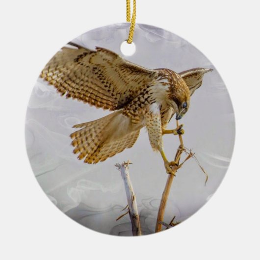 Coopers Hawk Keramisch Ornament (Voorkant)