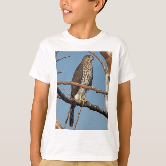 Cooper's Hawk Kinder T-Shirt (Voorkant)