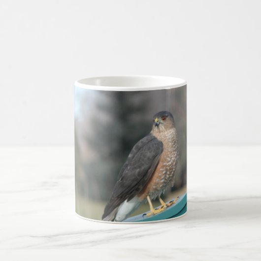 Coopers Hawk Koffiemok (Center)