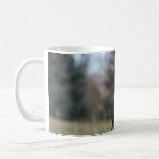 Coopers Hawk Koffiemok (Links)