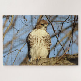 Cooper's Hawk Legpuzzel