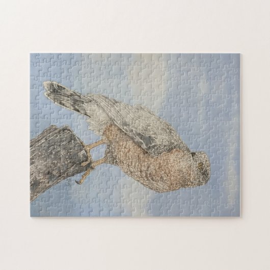 Cooper's Hawk Legpuzzel (Horizontaal)