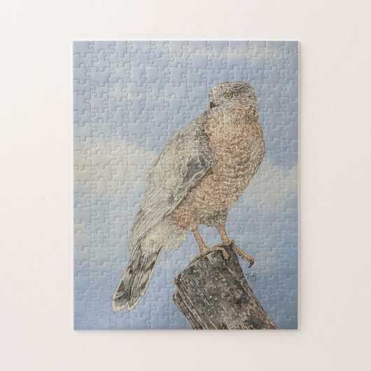 Cooper's Hawk Legpuzzel (Verticaal)