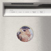 Coopers Hawk Magneet (Insitu (Vaatwasser))