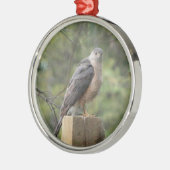 Cooper's Hawk Metalen Ornament (Links)