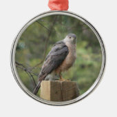 Cooper's Hawk Metalen Ornament (Voorkant)