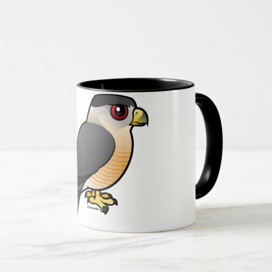 Cooper's Hawk Mok (Voorkant rechts)