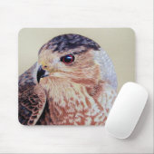 Coopers Hawk Muismat (Met muis)