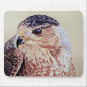 Coopers Hawk Muismat (Voorkant)