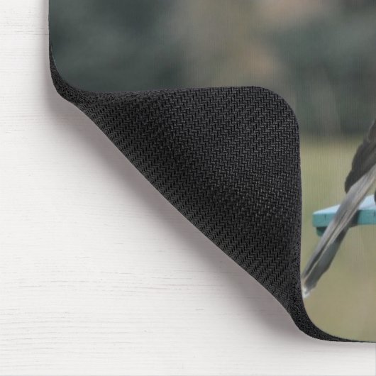 Coopers Hawk Muismat (Hoek)