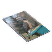 Coopers Hawk Notitieboek (Rechterzijde)