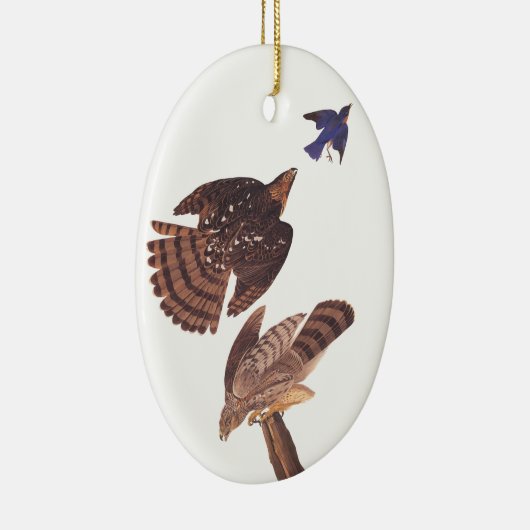 Cooper's Hawk Oval Christmas Ornament (Rechts)