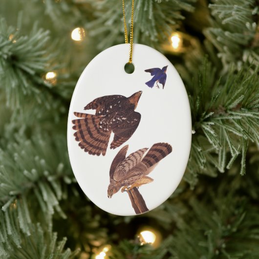 Cooper's Hawk Oval Christmas Ornament (Boom)