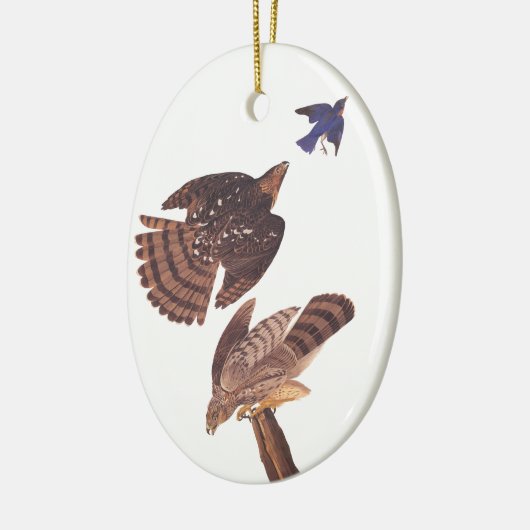 Cooper's Hawk Oval Christmas Ornament (Links)