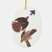Cooper's Hawk Oval Christmas Ornament (Voorkant)