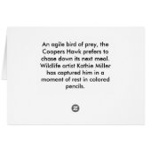 Coopers Hawk Portret (Achterkant Horizontaal)