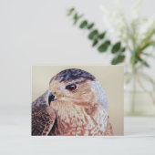 Coopers Hawk Portret Briefkaart (Staand voorkant)