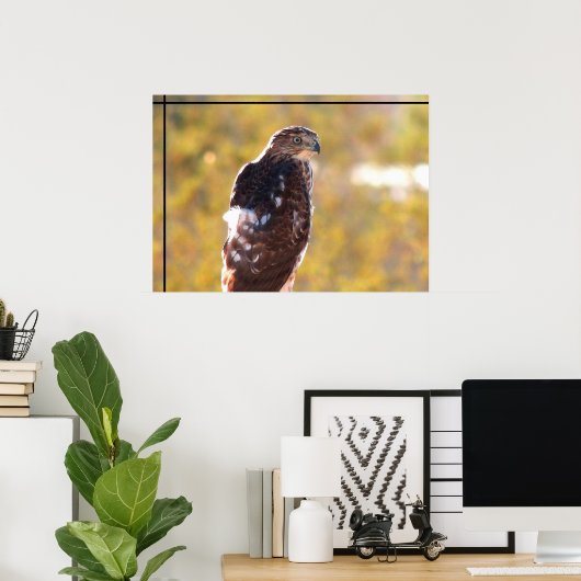 Cooper's Hawk Poster (Thuiskantoor)