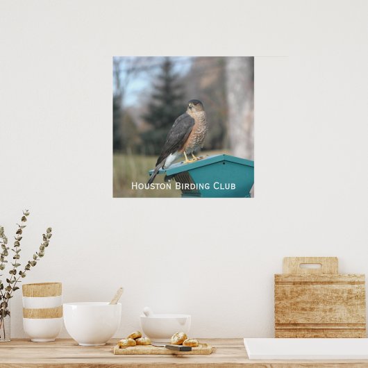 Coopers Hawk Poster (Keuken)