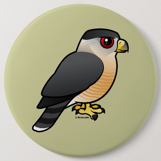 Cooper's Hawk Ronde Button 6,0 Cm (Voorkant)