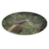 Cooper's Hawk Snijplank (Hoek)