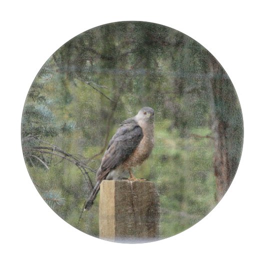 Cooper's Hawk Snijplank (Voorkant)