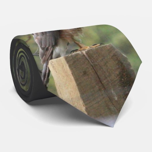 Cooper's Hawk Stropdas (Opgerold)