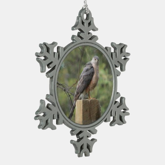 Cooper's Hawk Tin Sneeuwvlok Ornament (Links)
