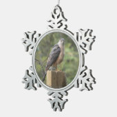 Cooper's Hawk Tin Sneeuwvlok Ornament (Rechts)