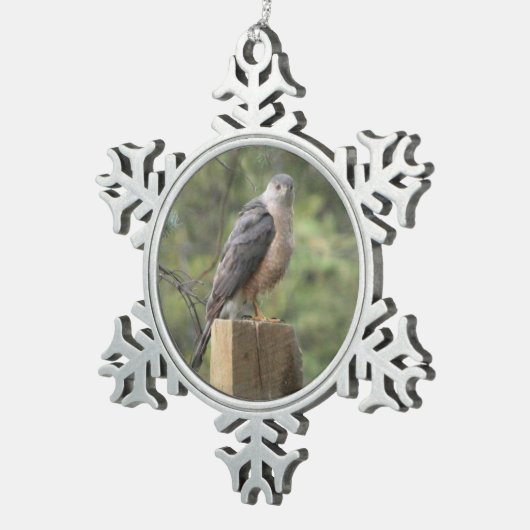 Cooper's Hawk Tin Sneeuwvlok Ornament (Rechts)
