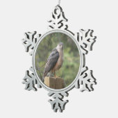 Cooper's Hawk Tin Sneeuwvlok Ornament (Rechts)