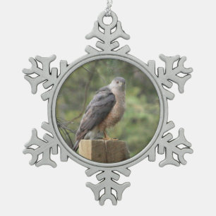 Cooper's Hawk Tin Sneeuwvlok Ornament